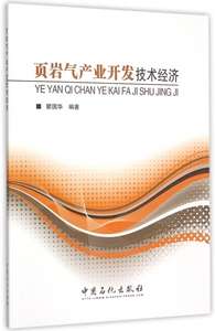 页岩气产业开发技术经济 瞿国华 编著 正版书籍