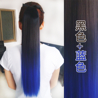 Perruque OTHER   Gradient queue de cheval cheveux raides - Ref 2612115 Image 1