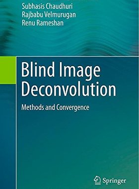 【预订】Blind Image Deconvolution