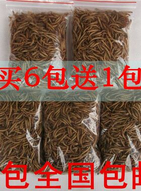5包全国包邮美味面包虫干黄粉虫仓鼠粮50g营养蛋白质香脆可口最爱