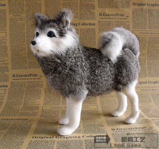 仿真哈士奇动物狗萨摩耶摆件模特模型兔皮玩具宠物白狗灰狗