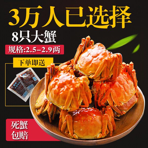 9月初发货 姑苏蟹澄大闸蟹 8只 优惠券折后￥59包邮