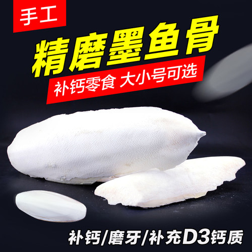 天然补钙精致打磨墨鱼骨寄居蟹陆龟水龟爬虫鹦鹉鸟刺猬补钙磨牙