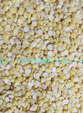 INDIAN FOOD 印度食品 咖喱 香料 MOONG DAL 孟恩豆 DHAL DAAL