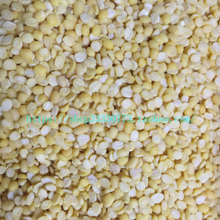 INDIAN FOOD 印度食品 咖喱 香料 MOONG DAL 孟恩豆 DHAL DAAL