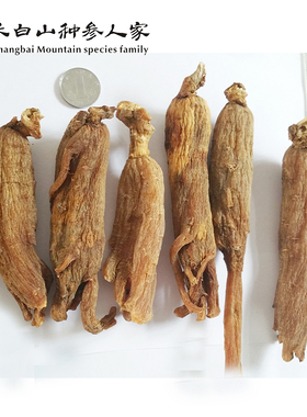 包邮长白山人参东北人参红参光支纯无蔗糖8年根足干货25头参味浓