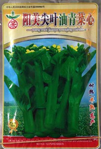 四季 蔬菜种子 阳台种菜 阳美尖叶油青菜心 厂家原装