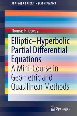 【预订】Elliptic–Hyperbolic Partial Differen...