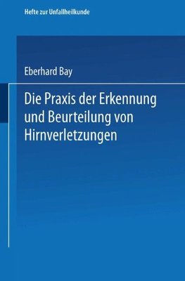 【预订】Die Praxis Der Erkennung Und Beurtei...