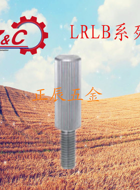 LRLB3/4/5/6/8/10不锈钢滚花加长型盖板螺栓
