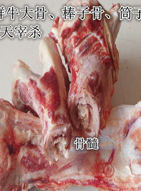 拍5斤包邮 新鲜牛骨头 牛腿骨磨牙棒棒子骨筒子骨500克