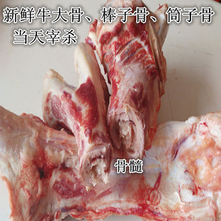 拍5斤包邮 新鲜牛骨头 牛腿骨磨牙棒棒子骨筒子骨500克
