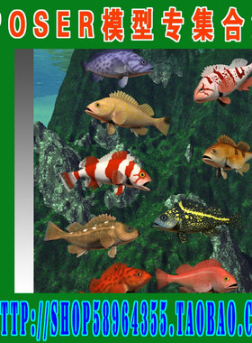 Poser模型物体系列——海洋生物类(3M-137)