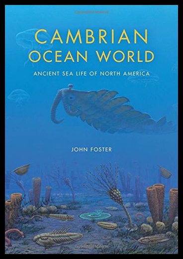 美国库房发货，通常付款后5-8周到货！