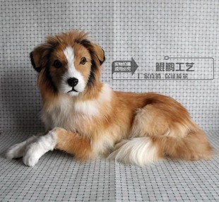 边境牧羊犬模型影楼拍摄道具教学模型动物标本中号牧羊犬高46厘米