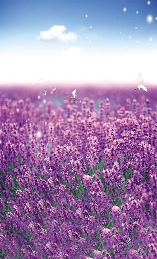 风景海报 薰衣草 鲜花花朵田园风光自然风景画寝室装饰画j5814c