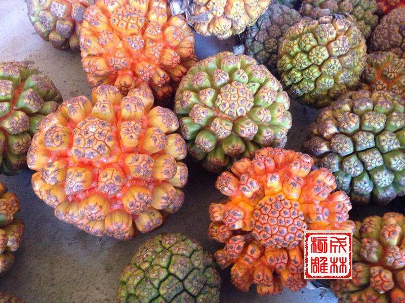 滴血莲花菩提王 山菠萝王 野菠萝王 原料 橄榄核雕 紫檀 雕刻