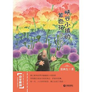 中华原创幻想儿童文学大系：峡谷小镇的紫色花