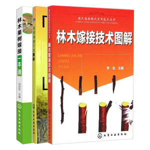林木嫁接技术图解+果树嫁接50法图解+林木果树嫁接 林木嫁接方法 枝接技术 园林绿化 林木 果树 嫁接 种植类书籍 兰兴达图书