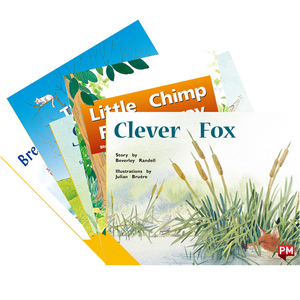 进口原版英文PM彩虹阅读系列PM READERS-YELLOW,SET 6A FICTION READERS X 5黄色级别 Level6A全套5册6-8岁儿童英语分级阅读故事书