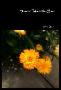 【预售】Words Behind the Lens