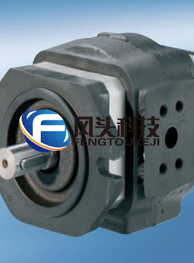 德国ECKERLE艾可勒EIPH2-008RK03-1X  齿轮泵油泵伺服泵