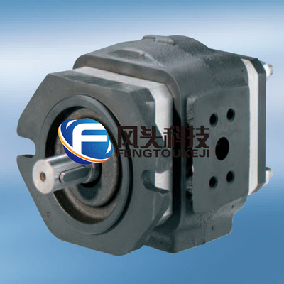 德国ECKERLE艾可勒EIPH6-250RP23-1X齿轮泵液压系统伺服泵