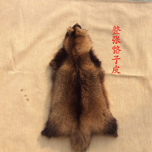 貉子皮供应
