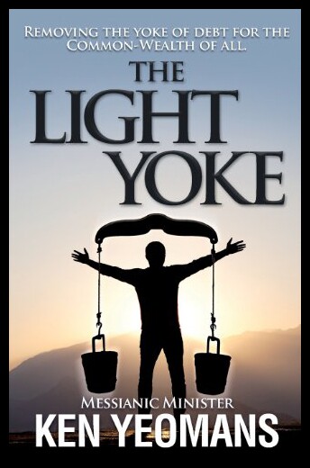 【预售】The Light Yoke: Debunking Banking - How to Remove