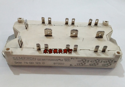 SKM22GD123D SKM40GD123D SKM75GD123D SKM40GD121D