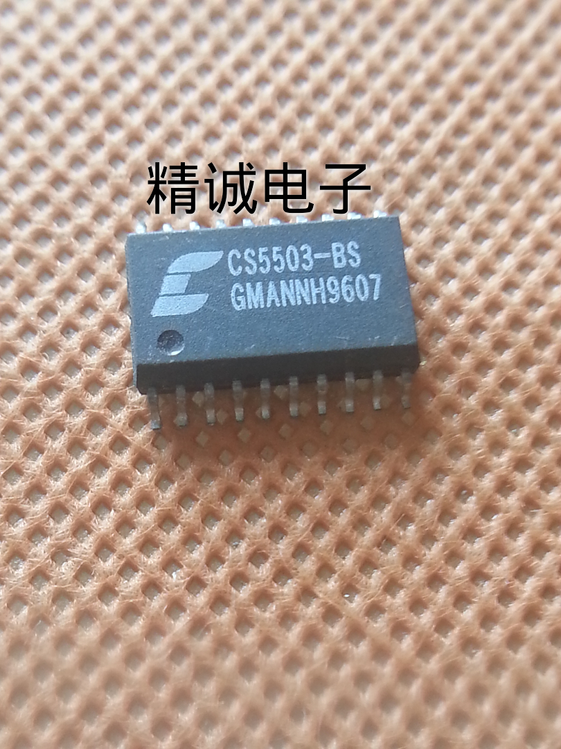 CS5503-BS 全新原装进口IC 实体店库存