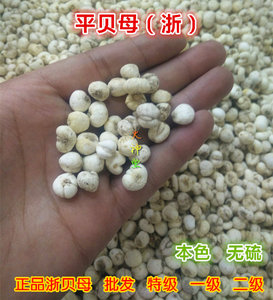 火神堂-中药材浙贝母 平贝母本色无硫小贝母好货250克150元
