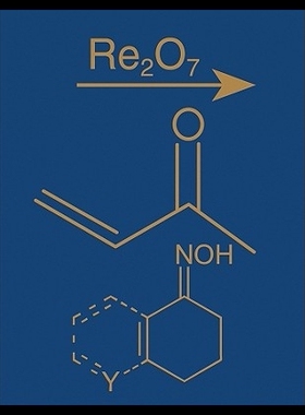 【预售】Comprehensive Organic Name Reactions and Reagen