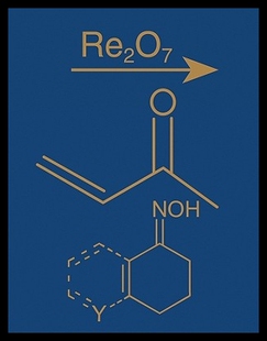 【预售】Comprehensive Organic Name Reactions and Reagen