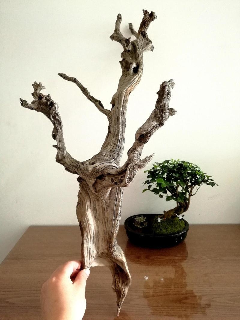 太行崖柏陈化原料毛料手串手把件摆件根雕造型料精品文玩正宗特价