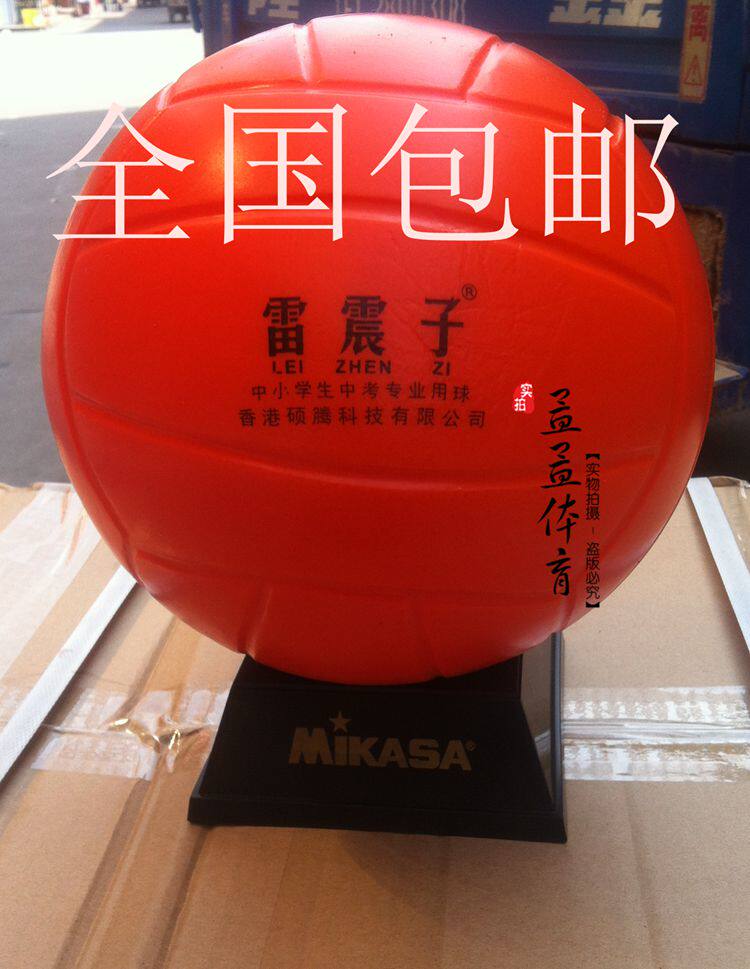 Ballon de volley-ball - Ref 2012845 Image 1