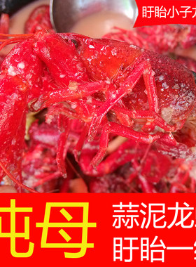 【盱眙】蒜泥口味正宗小龙虾龙虾