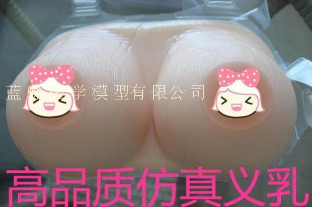 Coques pour soutien-gorge - Ref 818122 Image 1