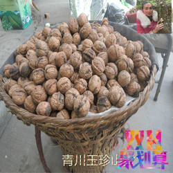 非纸皮青川深山干果原味土核桃产地直销500g/件 有货可直接下单