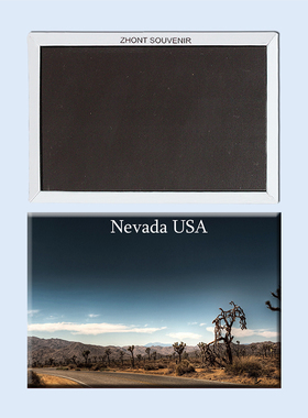 美国磁性冰箱贴 内达华州高速公路旁的仙人掌 旅行纪念品22997