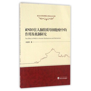 RND3在人脑胶质母细胞瘤中的作用及机制研究 刘宝辉著 健康管理预防疾病临床医学基础知识   博库网