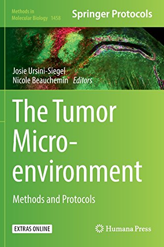 【预订】The Tumor Microenvironment: Methods ...
