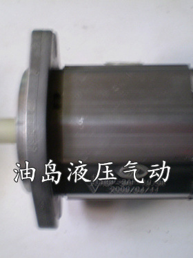 液压泵 油泵 高压齿轮泵 齿轮油泵HGP3A-F19R HGP3A-19R