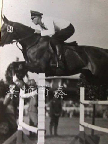 Article sports equestres - Ref 1379639 Image 1