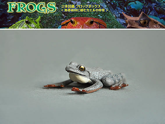 日本正版灰色虎纹腿脚趾青蛙