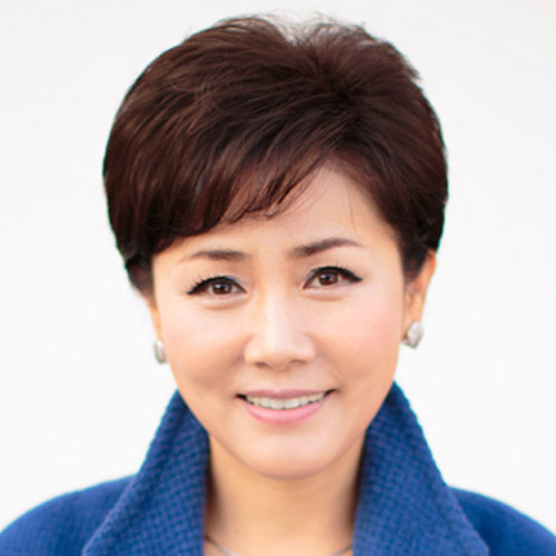 Perruque      cheveux courts - Ref 2613751 Image 1