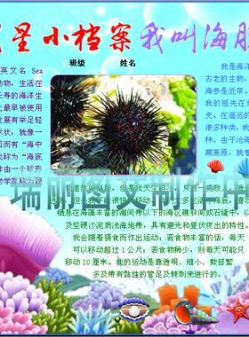 明星小档案我叫海胆电子小报软体动物科普知识电脑手抄报模板+20