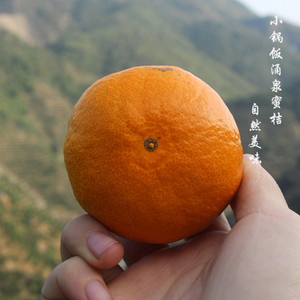 静静养生小锅饭-涌泉蜜桔 （普通装）台州临海特产 桔子 自由采摘