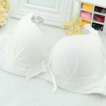 Slip jeunesse simple en coton - Ref 641293 Image 29