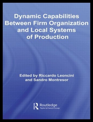 【预售】Dynamic Capabilities Between Firm Organization